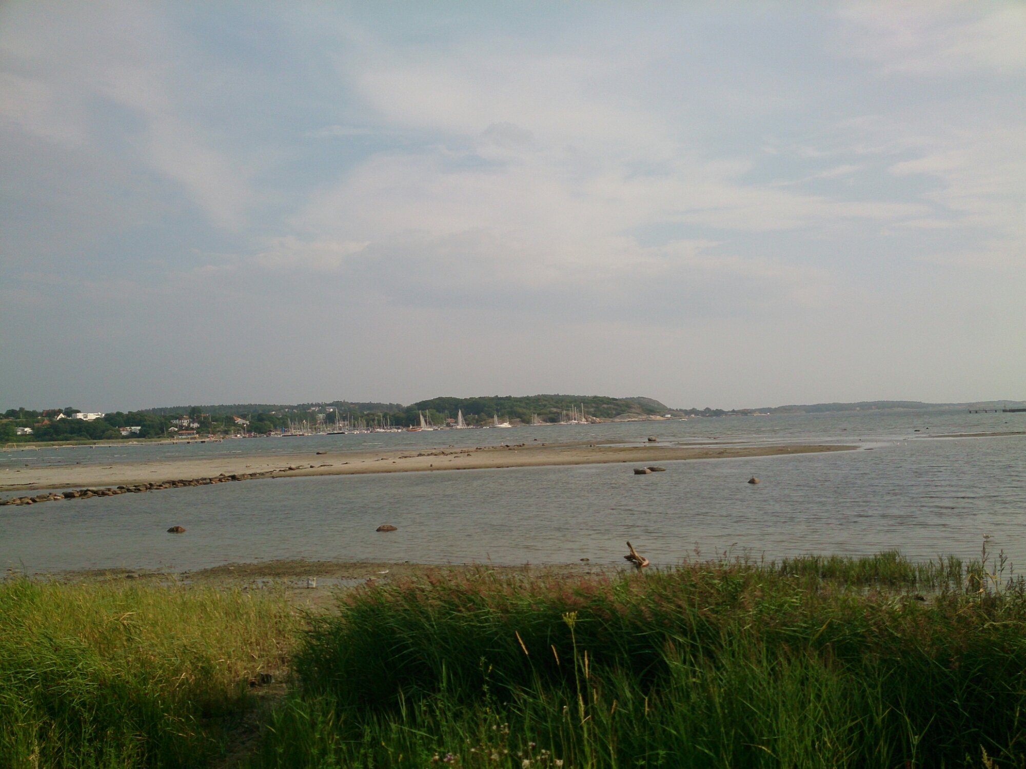 IMG_20140801_200126.jpg image