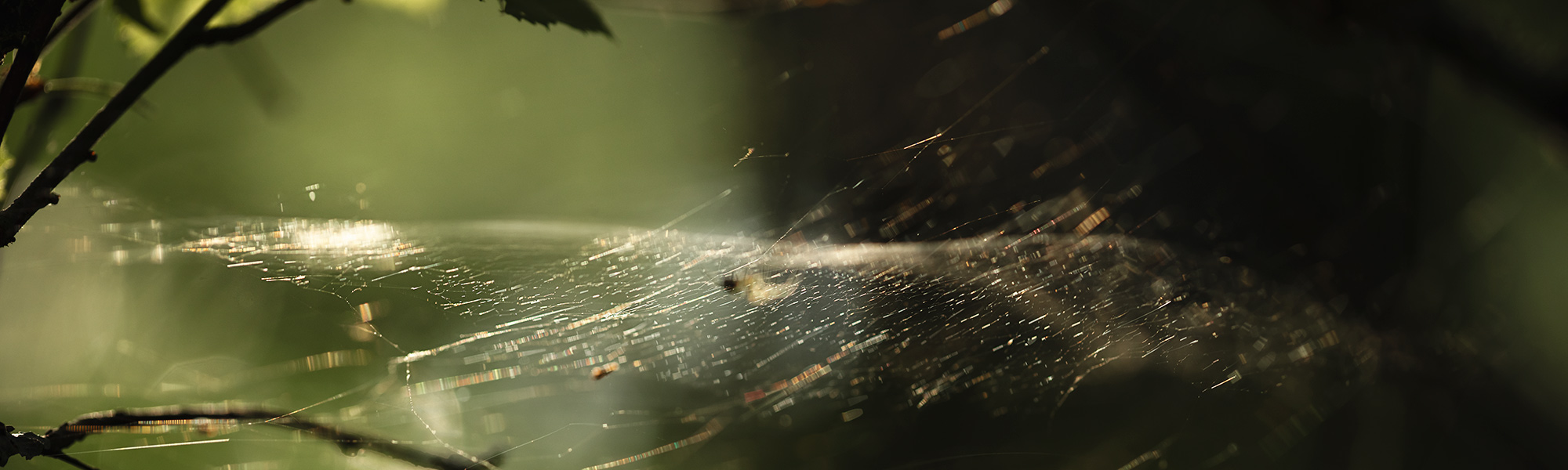 _LP_8604-slider
